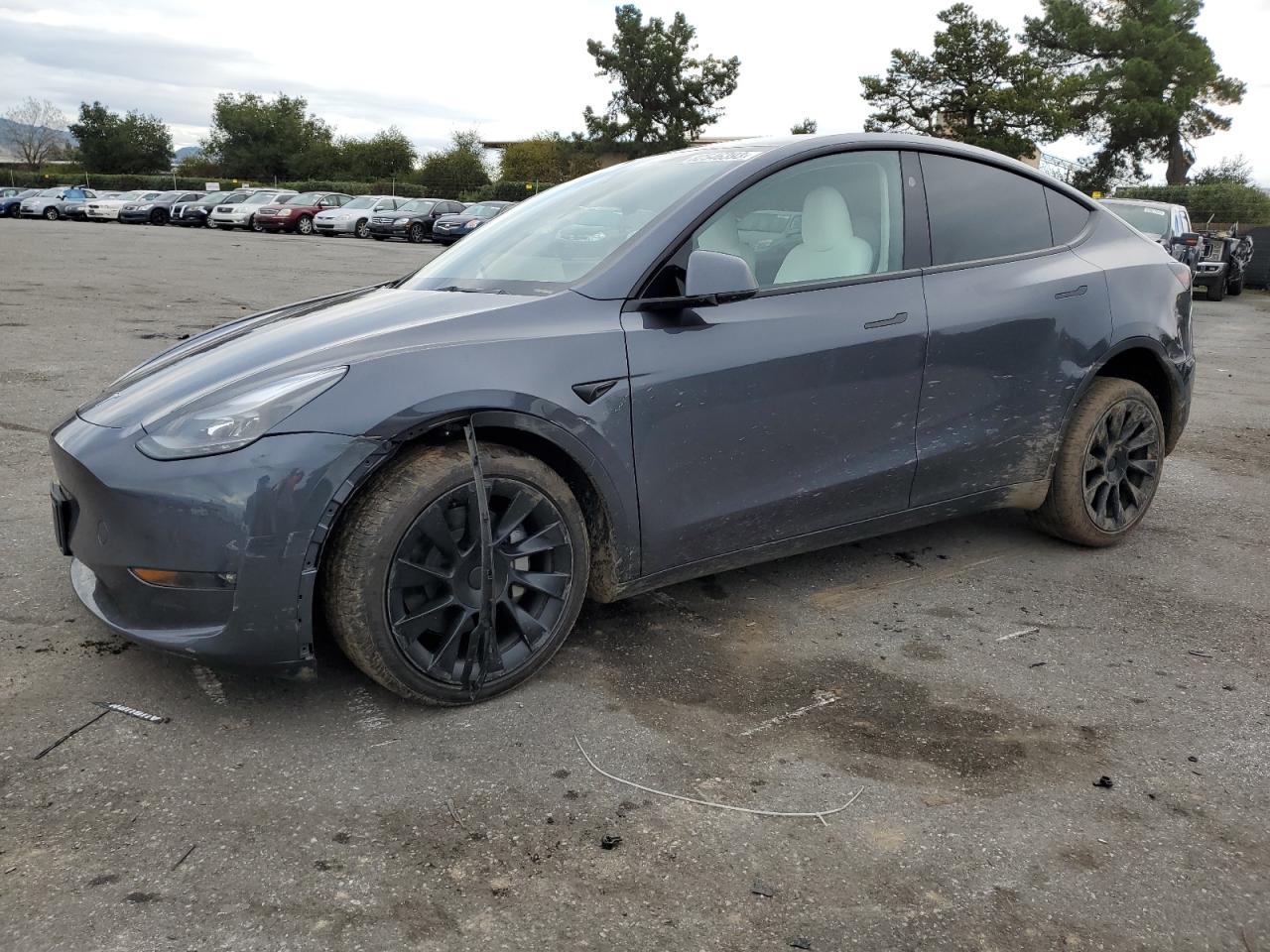 TESLA MODEL Y 2023 7saygdee9pf878275