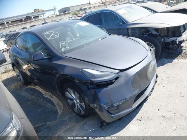 TESLA MODEL Y 2024 7saygdee9ra237269