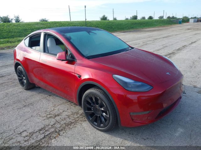 TESLA MODEL Y 2024 7saygdee9ra259644