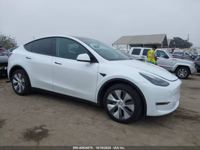 TESLA MODEL Y 2024 7saygdee9ra260003