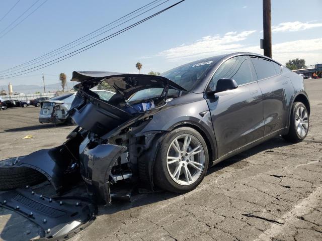 TESLA MODEL Y 2024 7saygdee9rf078563