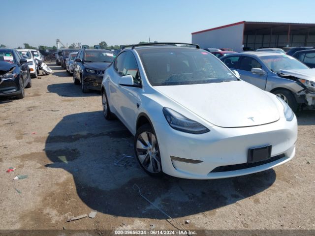 TESLA MODEL Y 2022 7saygdeexna010392