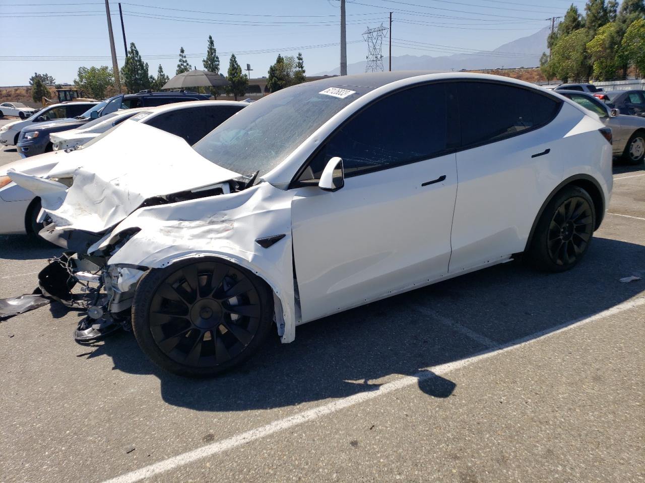 TESLA MODEL Y 2022 7saygdeexnf313496