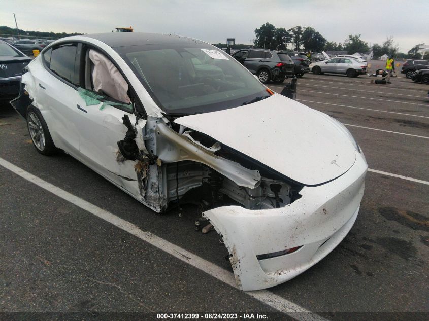 TESLA MODEL Y 2022 7saygdeexnf317757