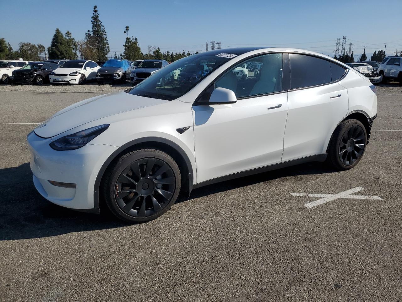 TESLA MODEL Y 2022 7saygdeexnf324417