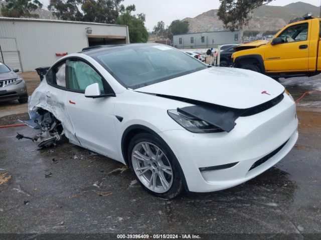 TESLA MODEL Y 2022 7saygdeexnf356378