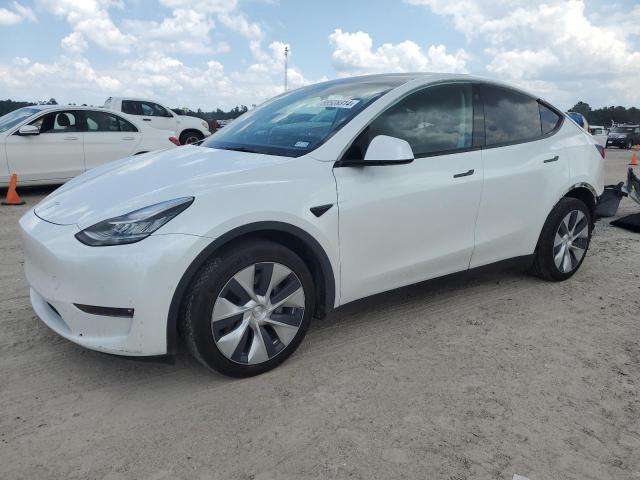 TESLA MODEL Y 2022 7saygdeexnf365758