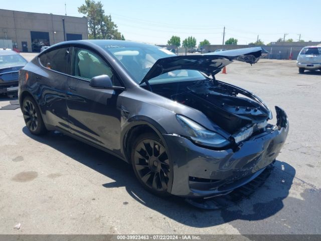 TESLA MODEL Y 2022 7saygdeexnf396542