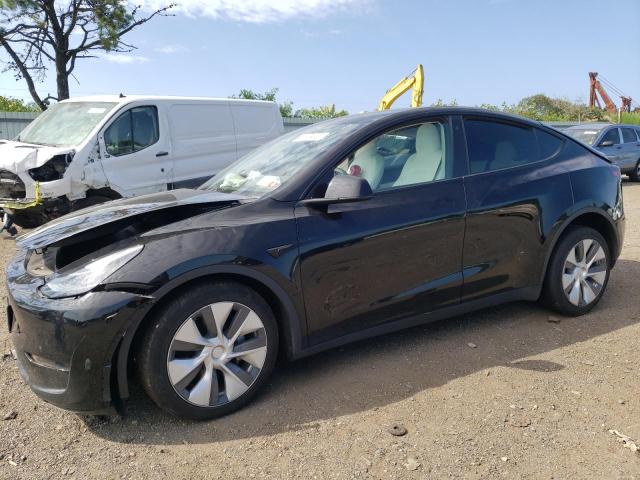 TESLA MODEL Y 2022 7saygdeexnf423707