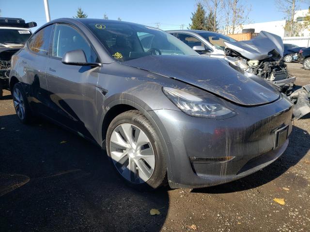 TESLA MODEL Y 2022 7saygdeexnf431323