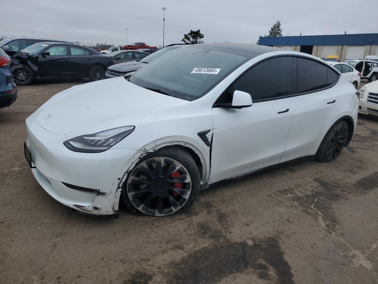 TESLA MODEL Y 2022 7saygdeexnf440572