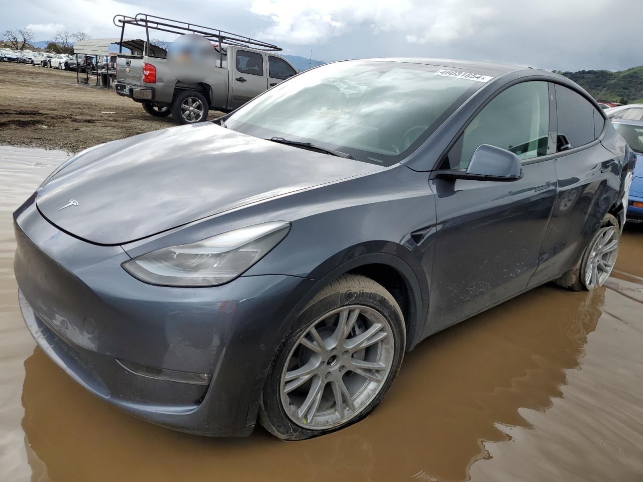 TESLA MODEL Y 2022 7saygdeexnf533592