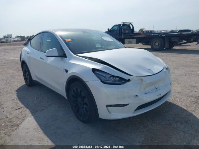 TESLA MODEL Y 2023 7saygdeexpa059529