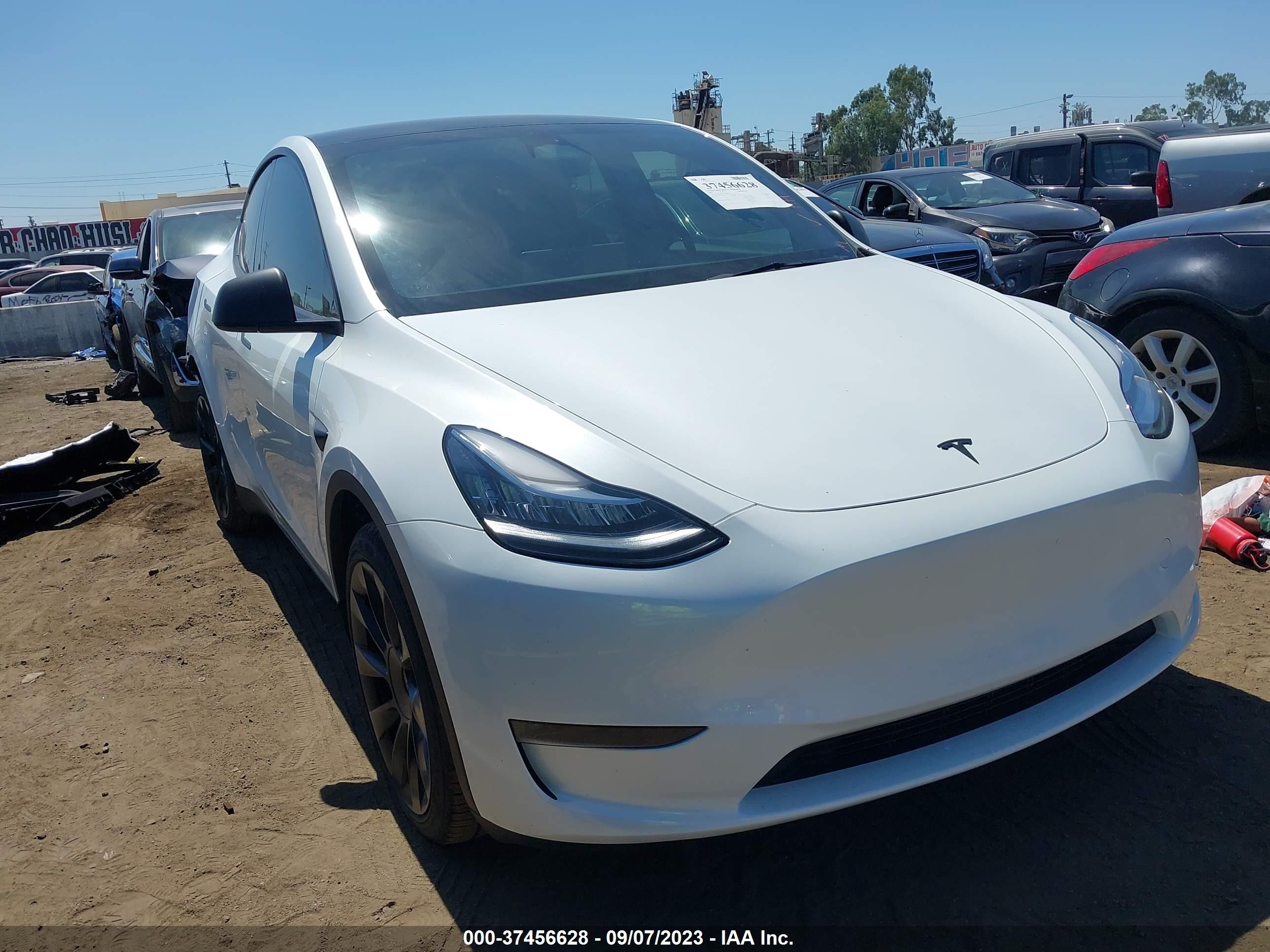 TESLA MODEL Y 2023 7saygdeexpa059935