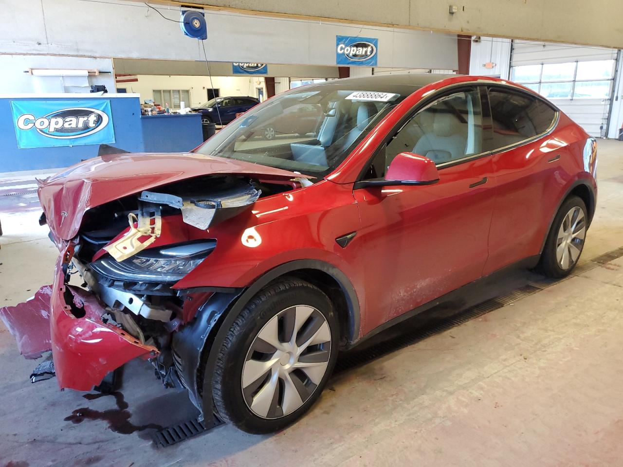 TESLA MODEL Y 2023 7saygdeexpa077013