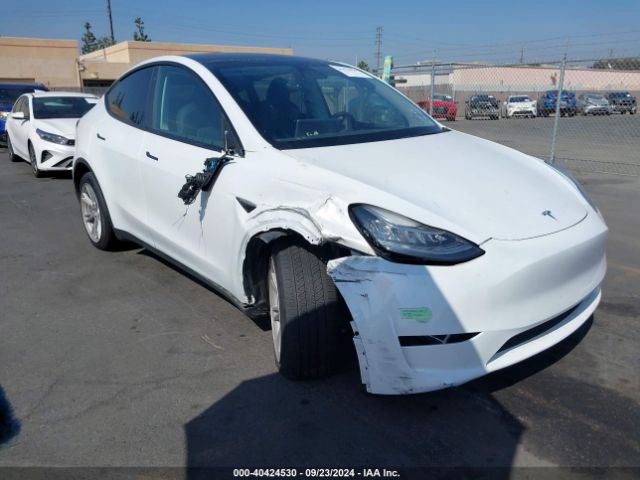 TESLA MODEL Y 2023 7saygdeexpa083359