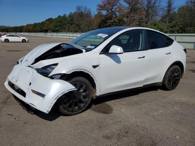 TESLA MODEL Y 2023 7saygdeexpa093731