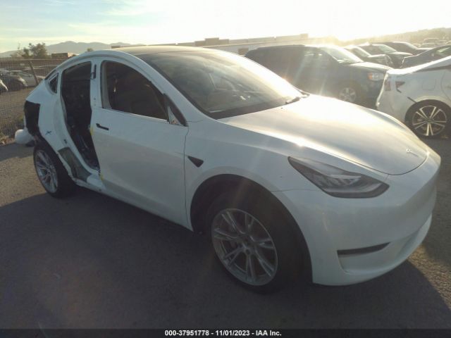 TESLA MODEL Y 2023 7saygdeexpa098282