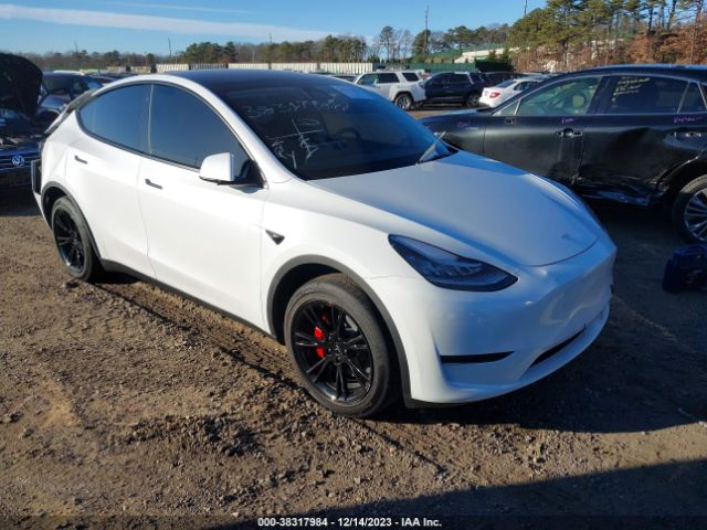 TESLA MODEL Y 2023 7saygdeexpa104372