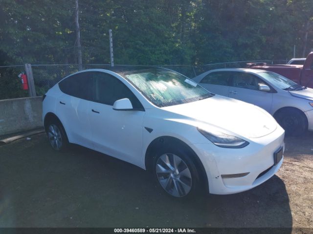 TESLA MODEL Y 2023 7saygdeexpa106235