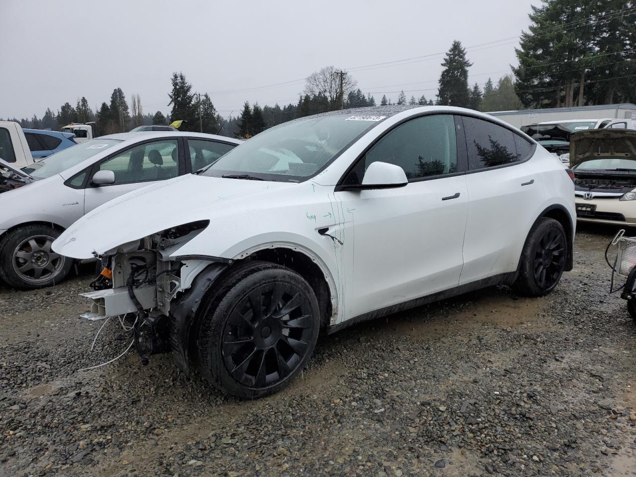 TESLA MODEL Y 2023 7saygdeexpa117302