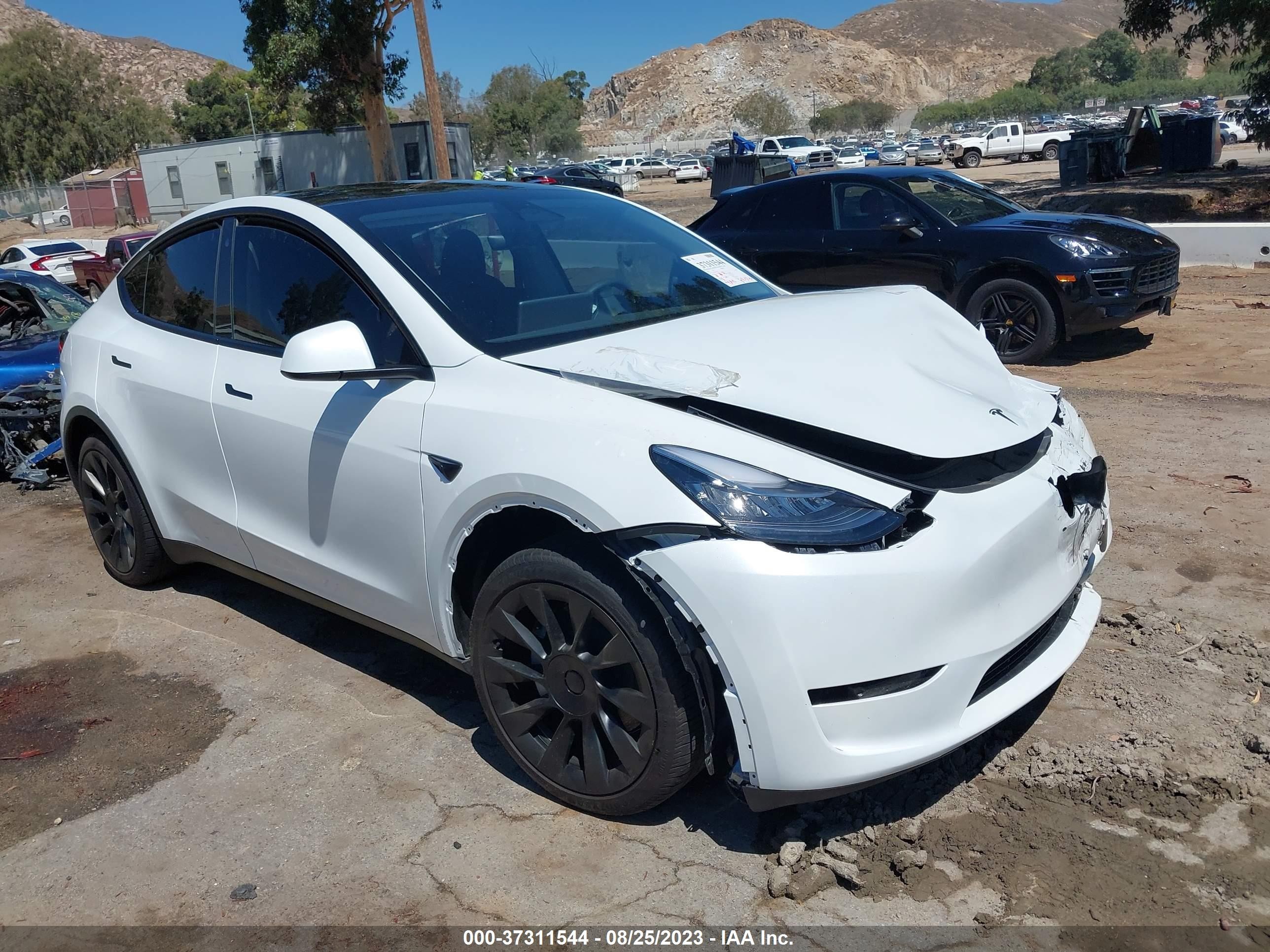 TESLA MODEL Y 2023 7saygdeexpa118207