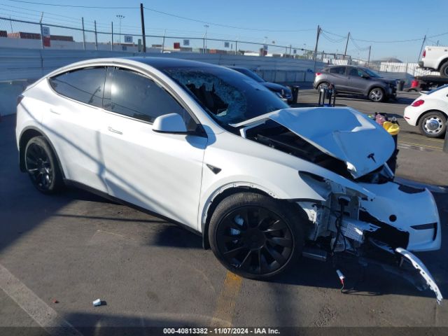 TESLA MODEL Y 2023 7saygdeexpa126856