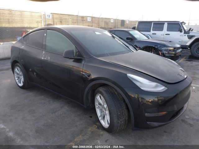 TESLA MODEL Y 2023 7saygdeexpa146637