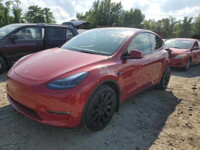 TESLA MODEL Y 2023 7saygdeexpa172994