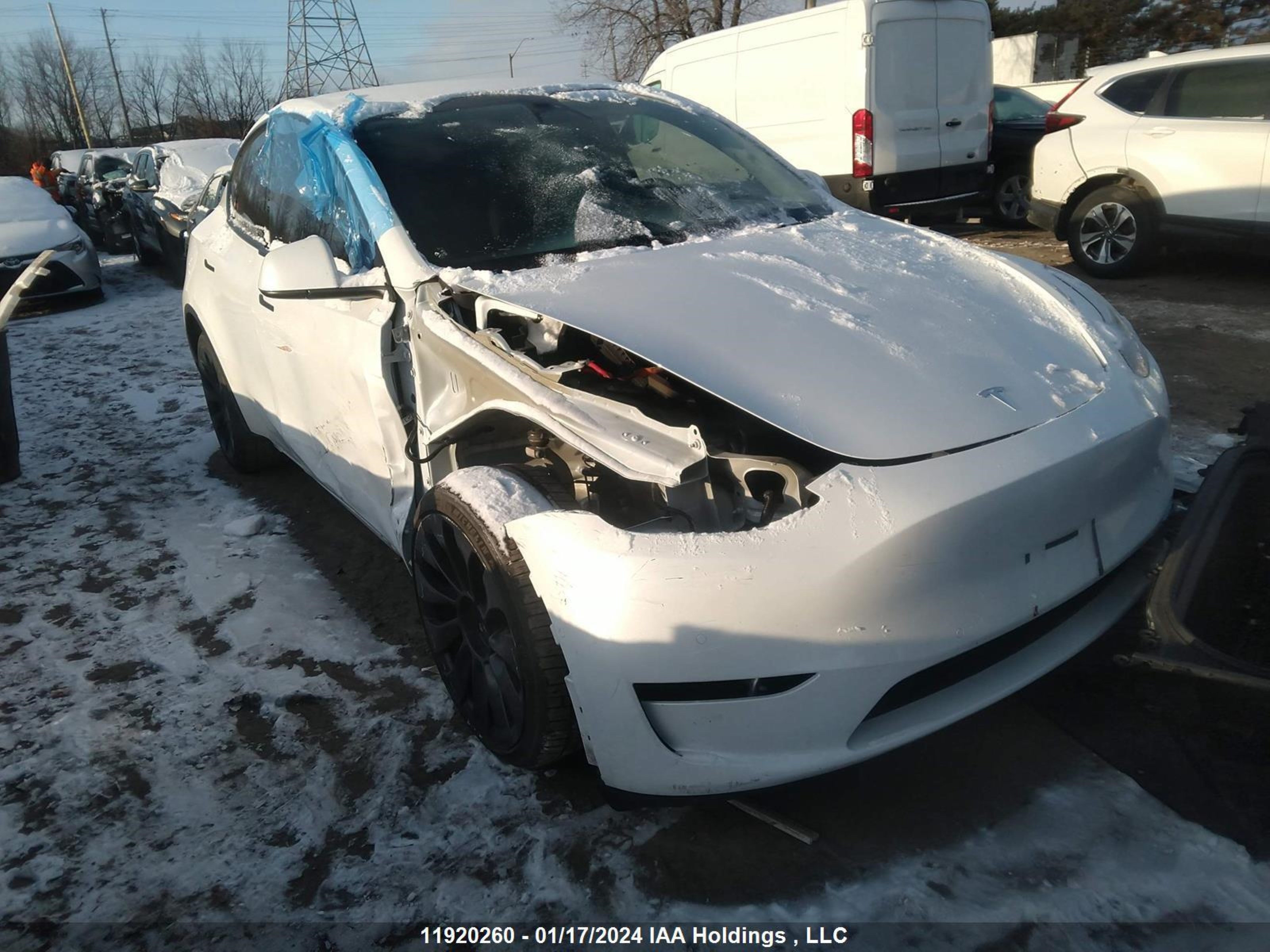 TESLA MODEL Y 2023 7saygdeexpf584688