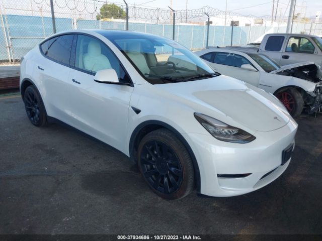 TESLA MODEL Y 2023 7saygdeexpf591334