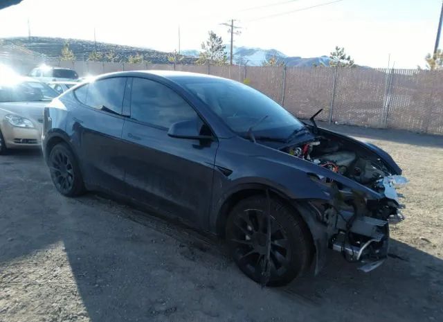 TESLA MODEL Y 2023 7saygdeexpf608052