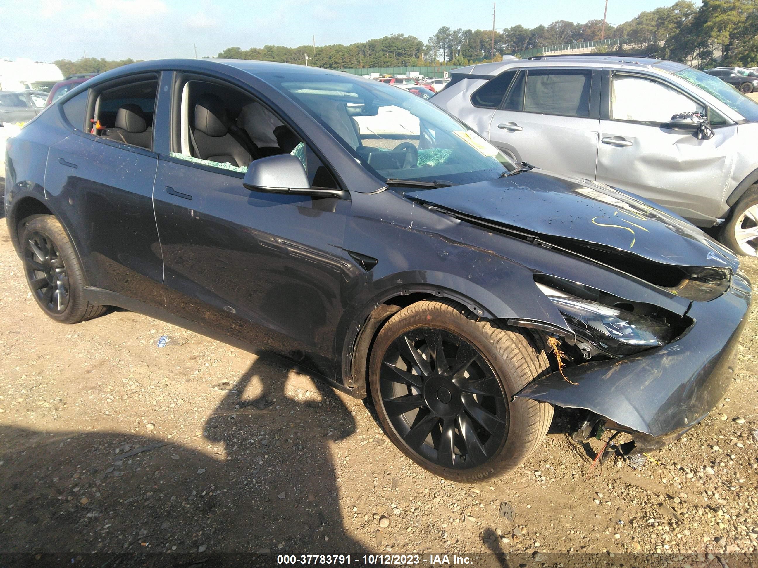 TESLA MODEL Y 2023 7saygdeexpf608455