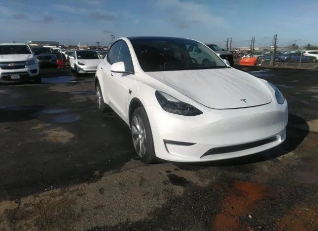 TESLA MODEL Y 2023 7saygdeexpf620086