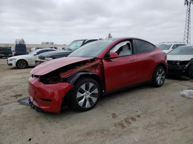 TESLA MODEL Y 2023 7saygdeexpf636742