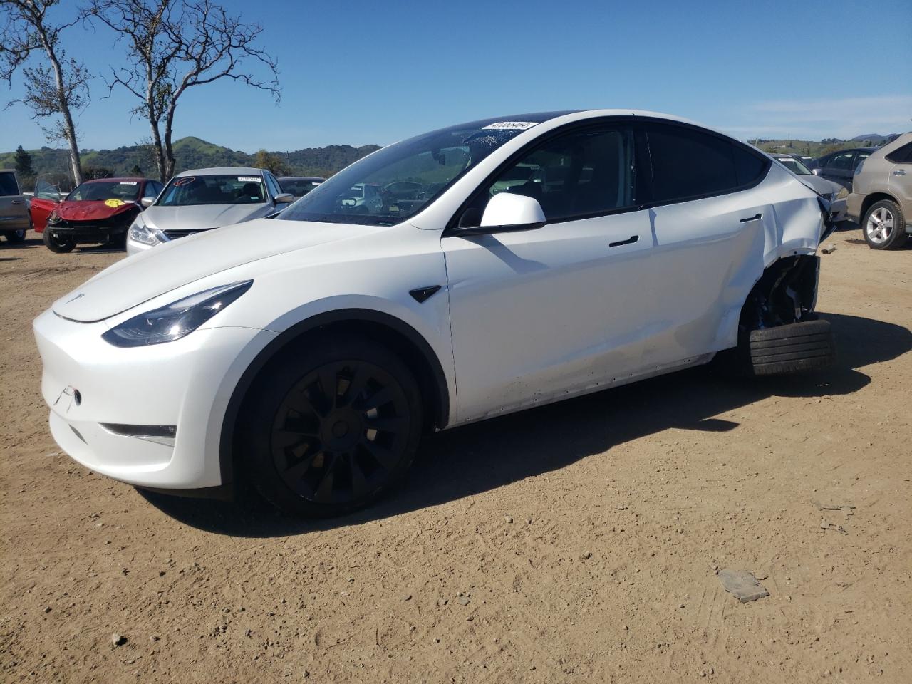 TESLA MODEL Y 2023 7saygdeexpf675010