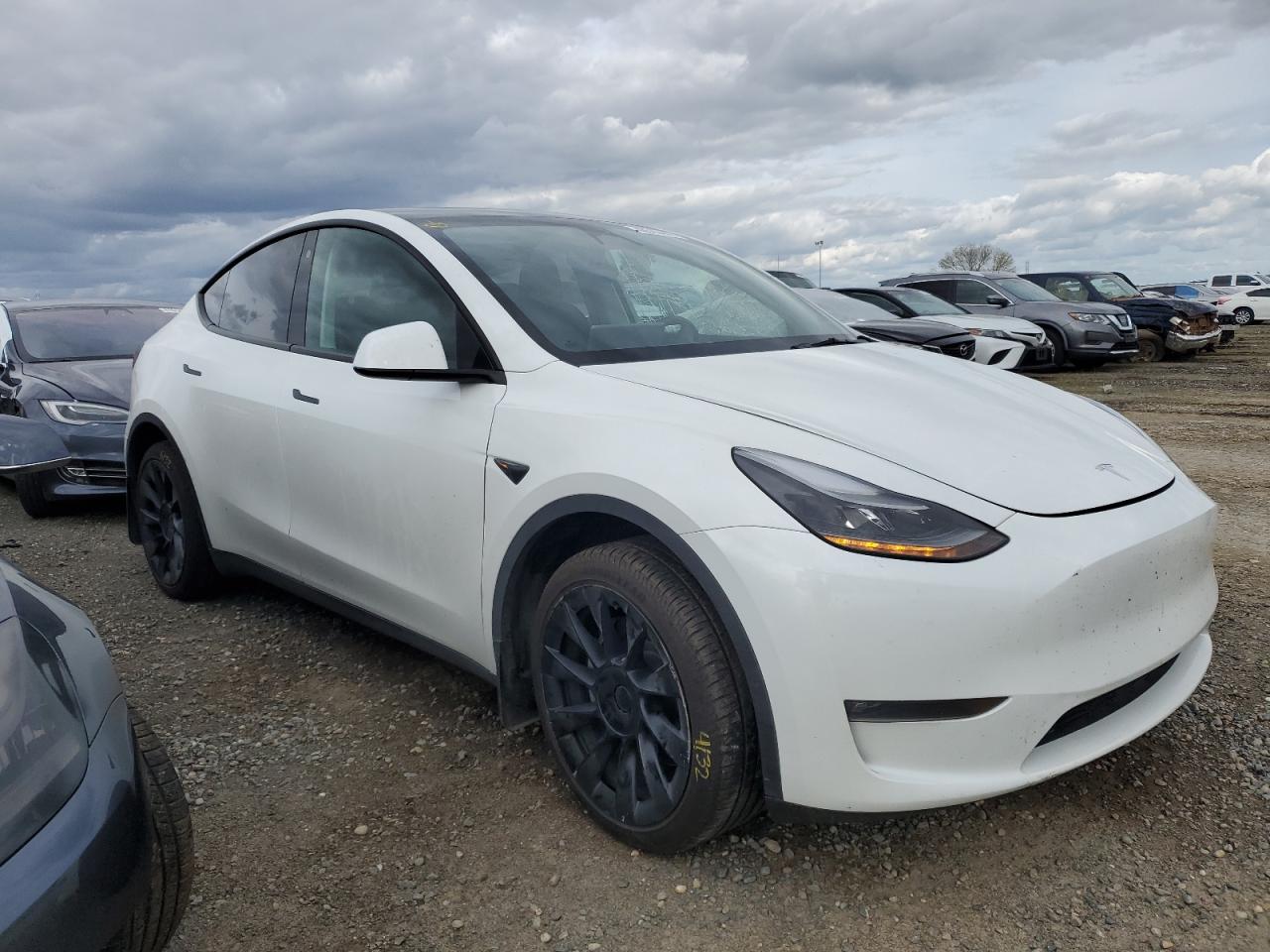 TESLA MODEL Y 2023 7saygdeexpf676514