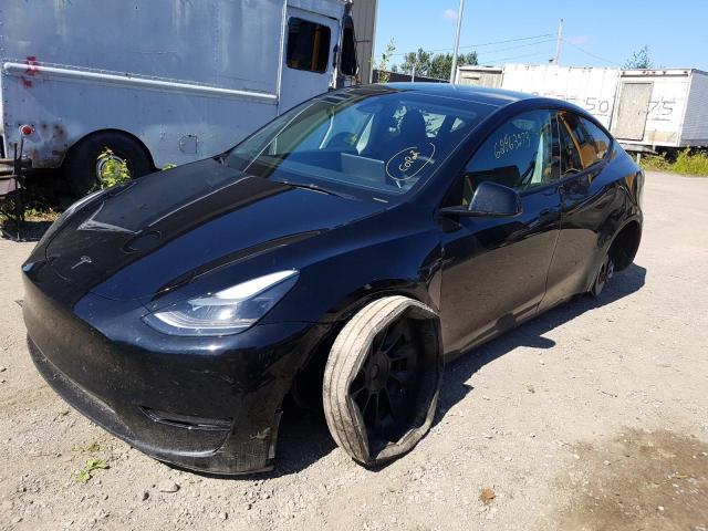 TESLA MODEL Y 2023 7saygdeexpf693135