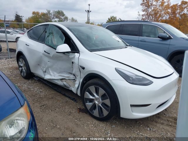 TESLA MODEL Y 2023 7saygdeexpf697332