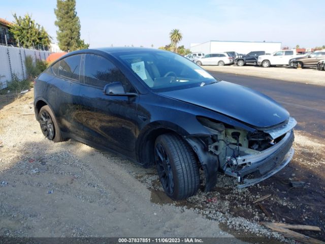 TESLA MODEL Y 2023 7saygdeexpf709124