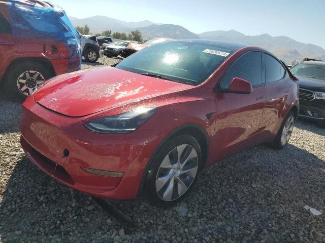 TESLA MODEL Y 2023 7saygdeexpf714596