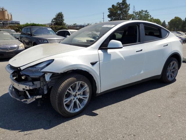 TESLA MODEL Y 2023 7saygdeexpf743435