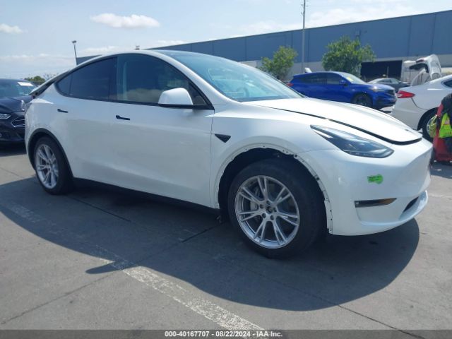 TESLA MODEL Y 2023 7saygdeexpf763667