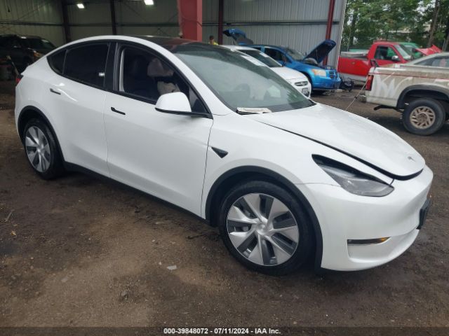 TESLA MODEL Y 2023 7saygdeexpf765287