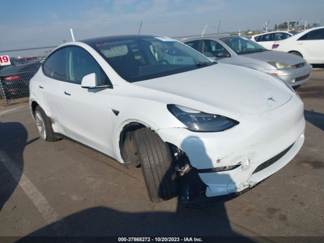 TESLA MODEL Y 2023 7saygdeexpf814004