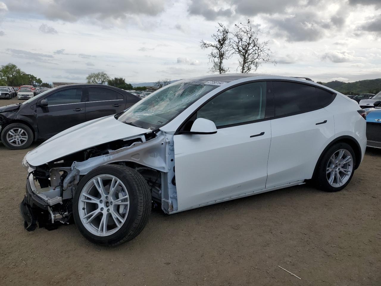 TESLA MODEL Y 2023 7saygdeexpf816254