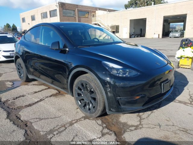 TESLA MODEL Y 2023 7saygdeexpf836813