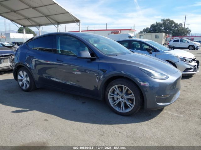 TESLA MODEL Y 2023 7saygdeexpf852980