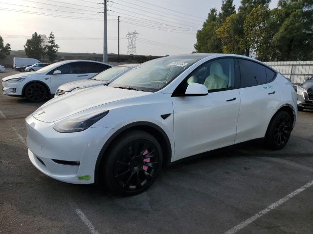 TESLA MODEL Y 2023 7saygdeexpf853840