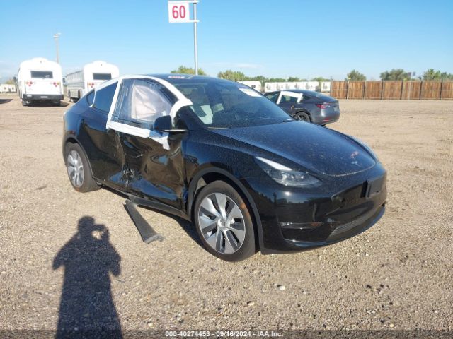 TESLA MODEL Y 2023 7saygdeexpf868208